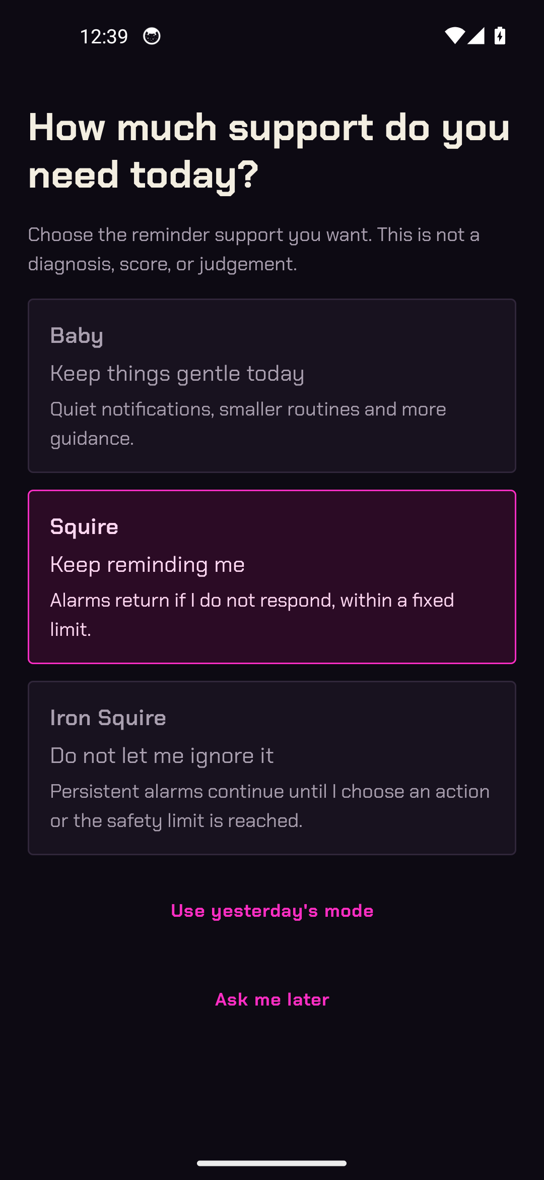 Iron Squire asking how much support is needed today, with Baby, Squire, and Iron Squire choices in Hytsu's Theme